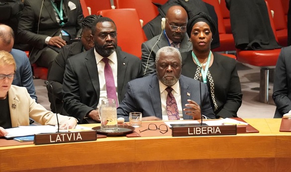 AMB. BROWN: LIBERIA, DRC, SOMALIA URGE SYRIA CHEMICAL WEAPONS VERIFICATION AT UN SECURITY COUNCIL